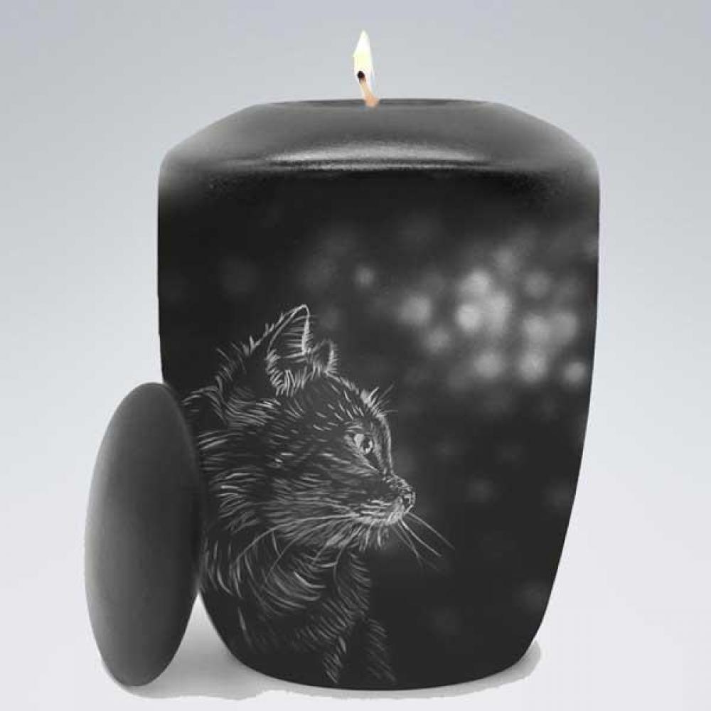 Katze im Licht +Teelicht - auch nach Foto